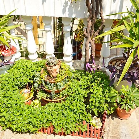 לפטוקריה Hotel Dimitra Zeus מראה חיצוני תמונה