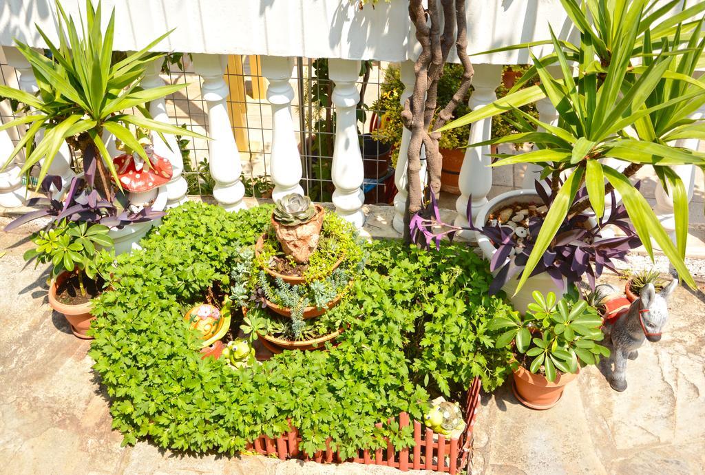 לפטוקריה Hotel Dimitra Zeus מראה חיצוני תמונה