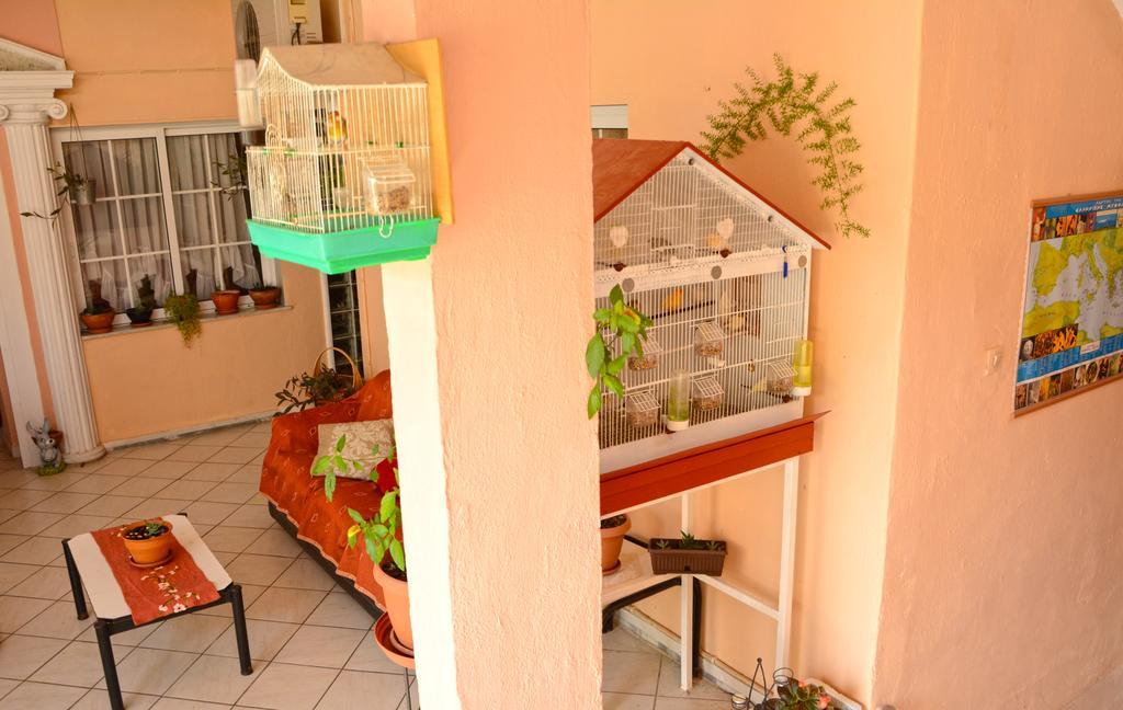 לפטוקריה Hotel Dimitra Zeus מראה חיצוני תמונה