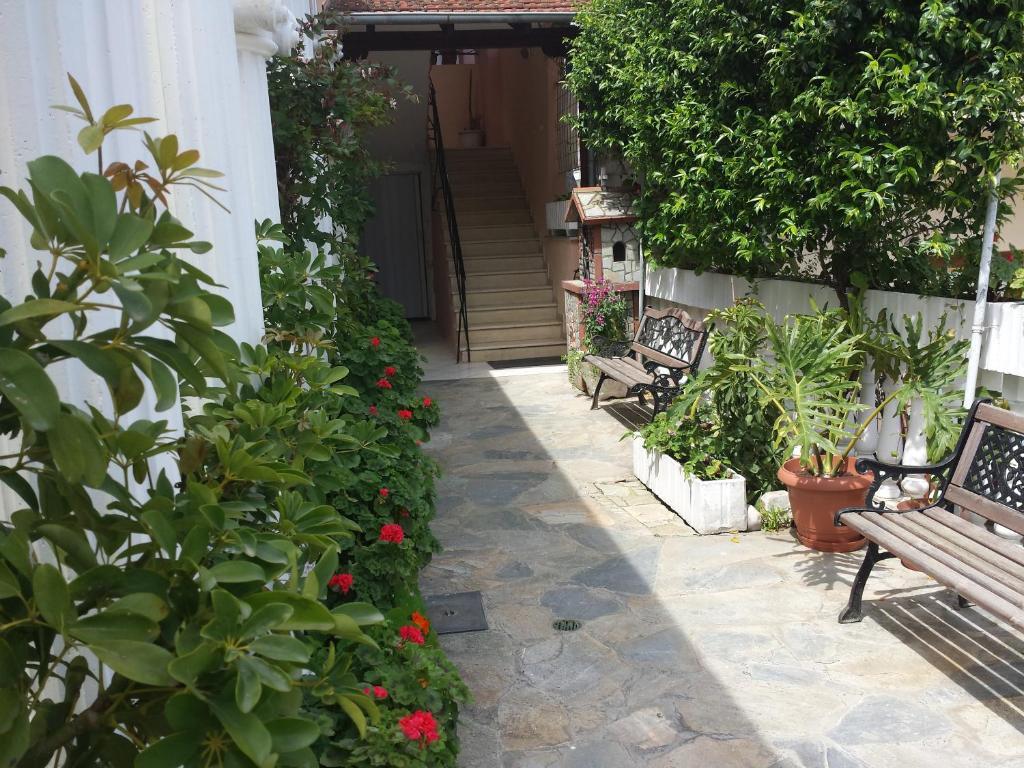 לפטוקריה Hotel Dimitra Zeus מראה חיצוני תמונה